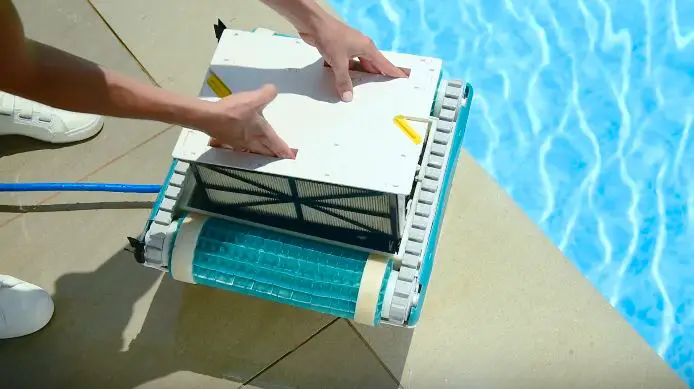 Dolphin robot pool cleaner