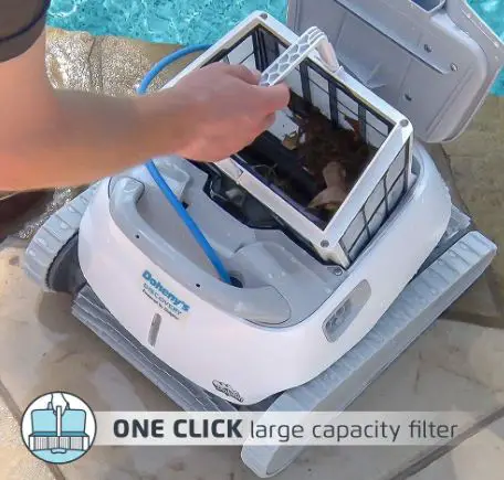 dolphin discovery pool cleaner